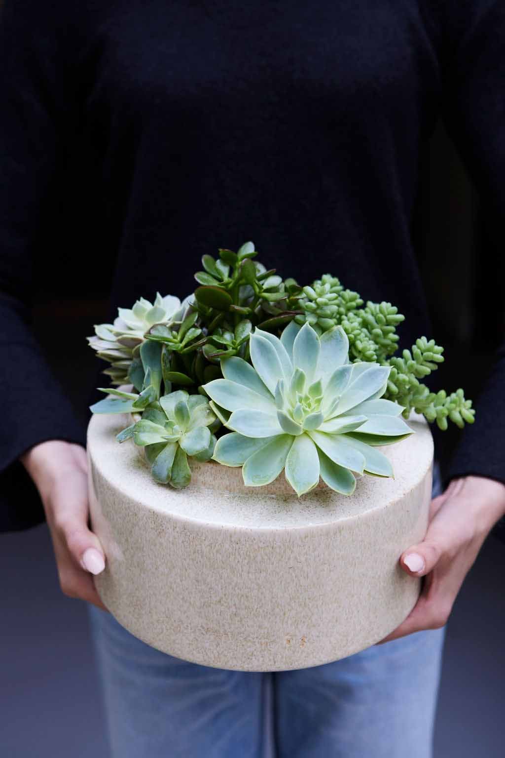 Greenwich, CT Floral Gallery Winston Flowers